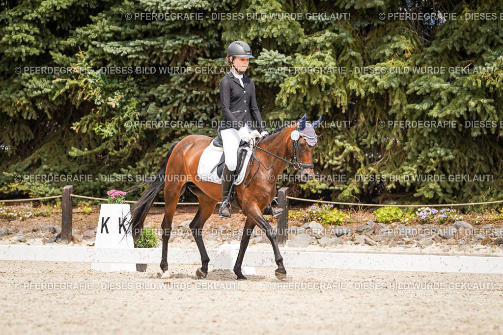 DSC04075 | Pferdegrafie