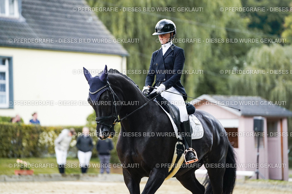 DSC06479 | Pferdegrafie