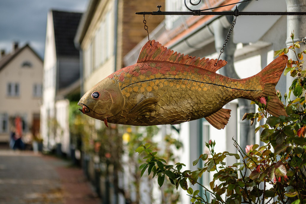 zeitenwende-farbe-01-07 | Der Karpfen ist das Symbol der Holmer Fischerzunft und schmückt in geschnitzter Form auch das Haus des Fischers Jörg Nadler in der Süderholmstraße. - Realisiert mit Pictrs.com