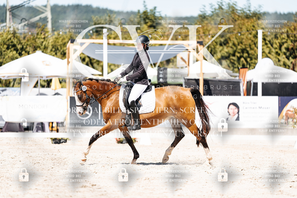 CK900323 | Turnierfotografie Pferdefotografie Trier Rheinland-Pfalz Pferdesport Reitsport Tierfotografie Sportfotografie Pferdevideo Pferdevideografie Equestrianvideography equestrianphotography  - Realisiert mit Pictrs.com