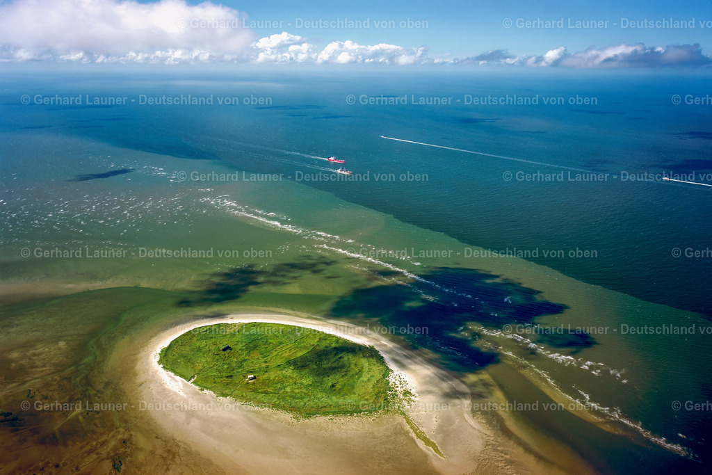 7000912 | NigehörnVogelschutzgebiet, Nationalpark Hamburgisches Wattenmeer