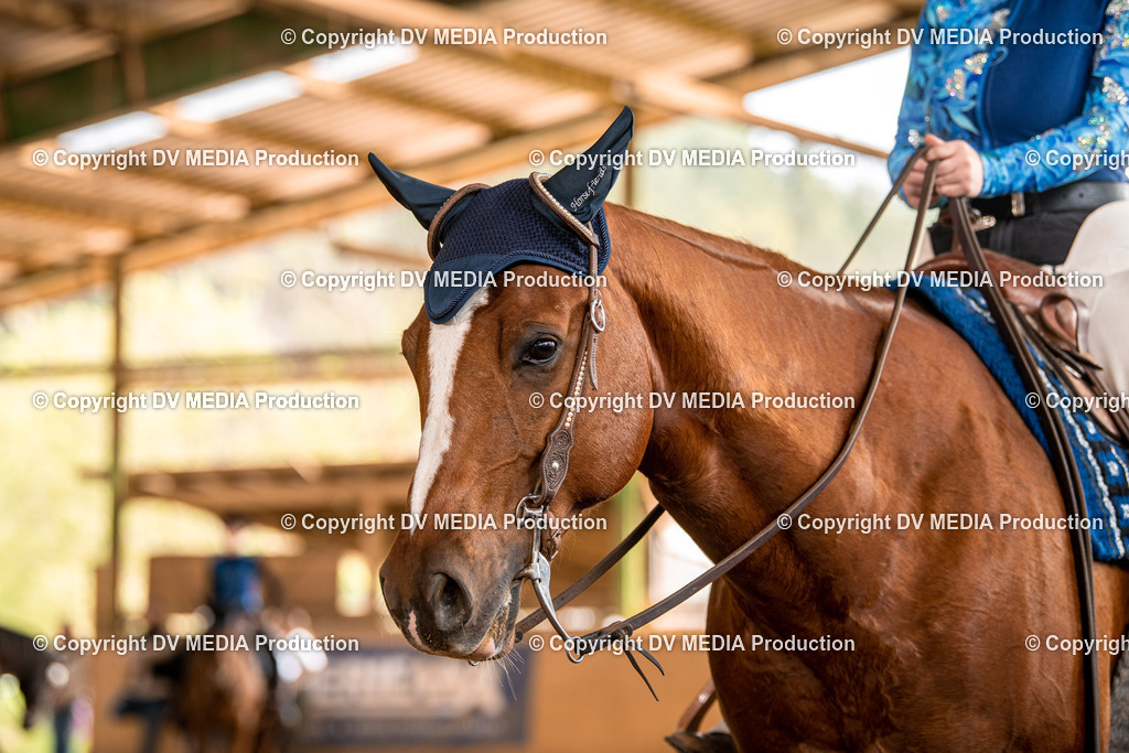 Balingen Tag 5-551 | dv-media-shop - Realisiert mit Pictrs.com