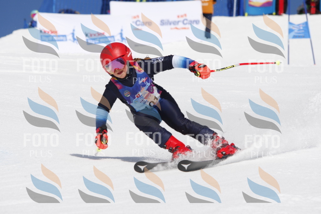 _W1G1502 | holidayphoto