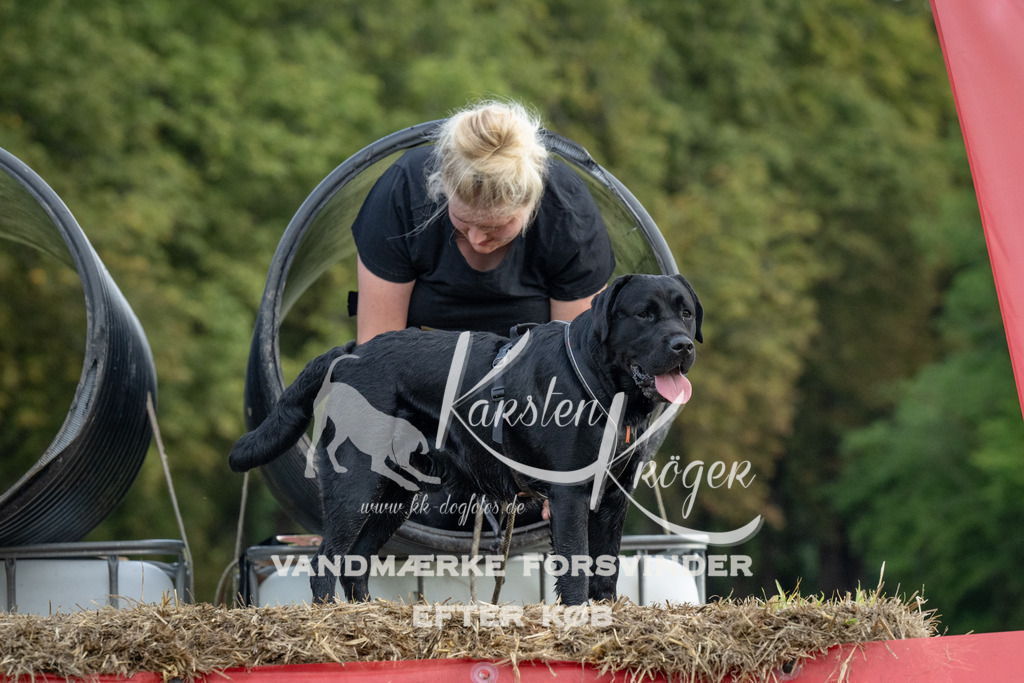 1050_ZZ93273 | kk-dogfotos