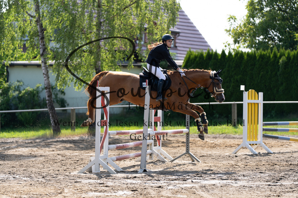 A7507346 | Turnier/Reitfotograf