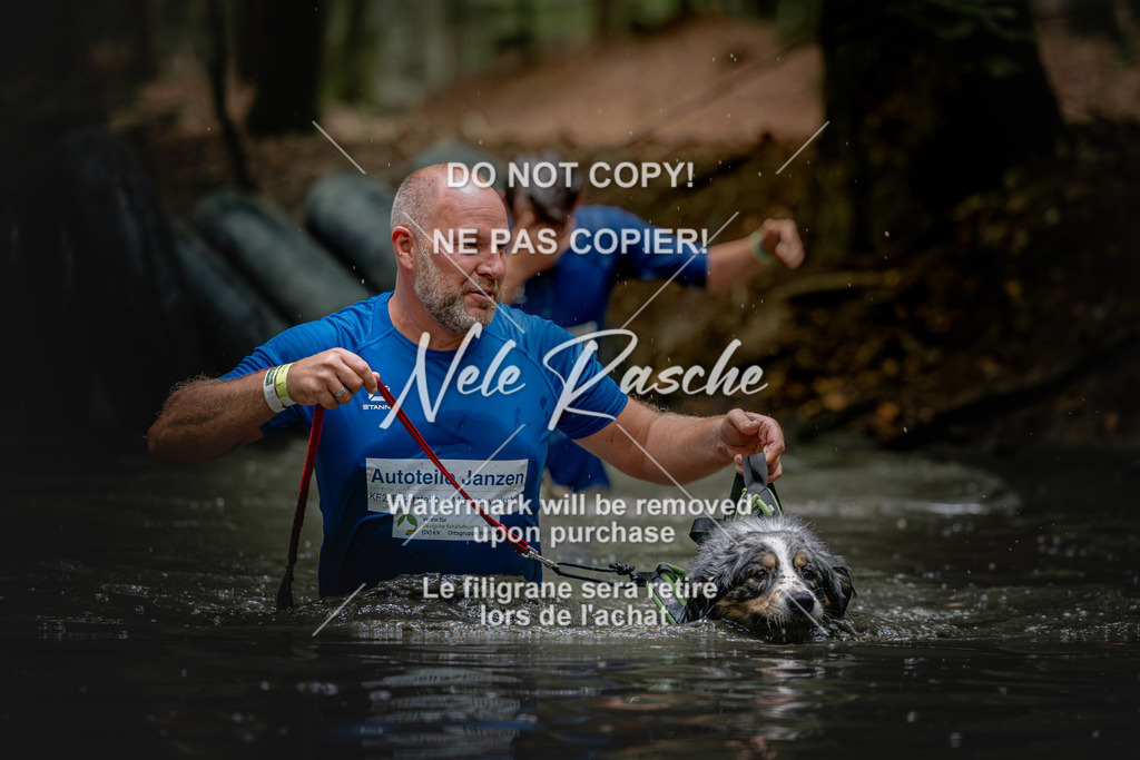 nelerasche_SaWingst1200-1230_265 | nelerasche