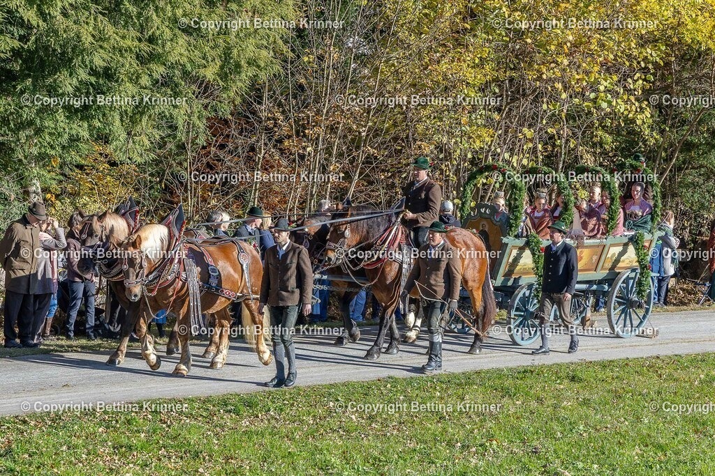 LBT25-460 | foto-bettina-krinner - Realisiert mit Pictrs.com