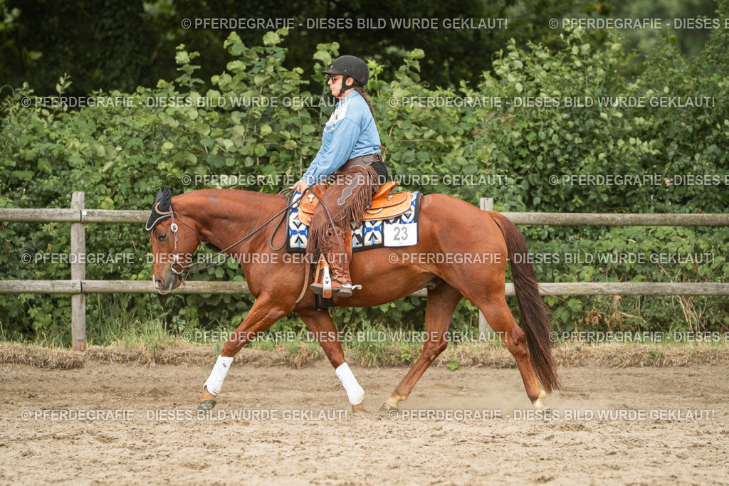 DSC03206 | Pferdegrafie