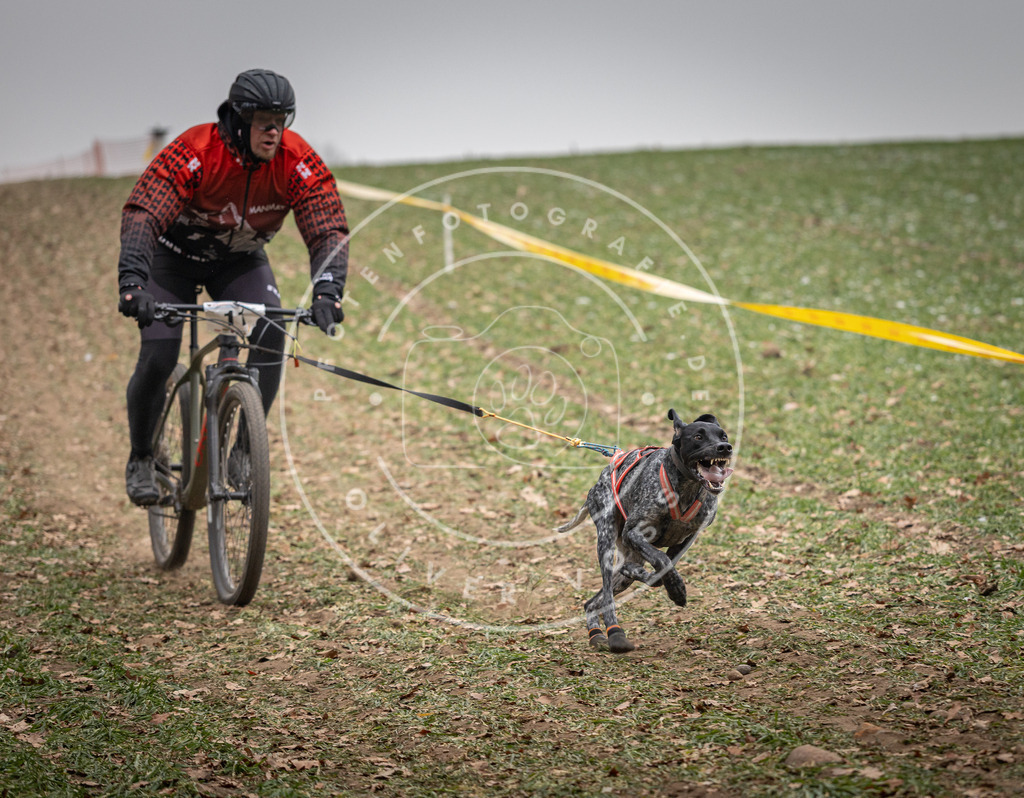 Pfotenfotografie_DV3A2373 | Hundefotografie, Tierfotograf, Pfotenfotografie, Fotoshooting Hund, Hunde Portrait, Hundesport, Hundeportraits, Heideshooting, Hunde, Sportfotograf, Hundefotograf, Turnierhundsport, THS,  - Realisiert mit Pictrs.com