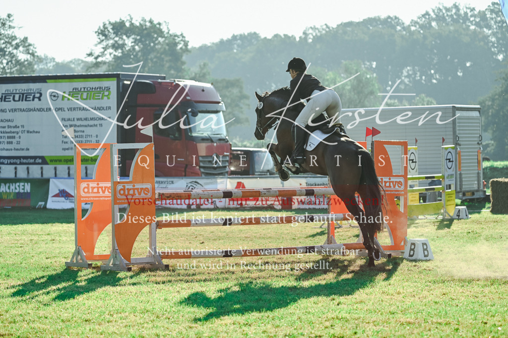 DSC_4367 | Pferde- und Turnierfotografie in Westsachsen. Pferdeportraits, Auftragszeichnungen und intuitive Kunst.