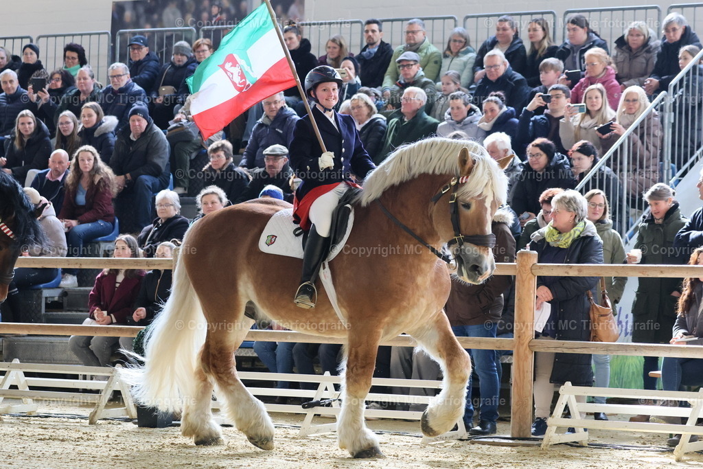 ZüSonnt.LGNRW16032025MC3H5A6832B | Pferdefotos online bestellen - Realisiert mit Pictrs.com