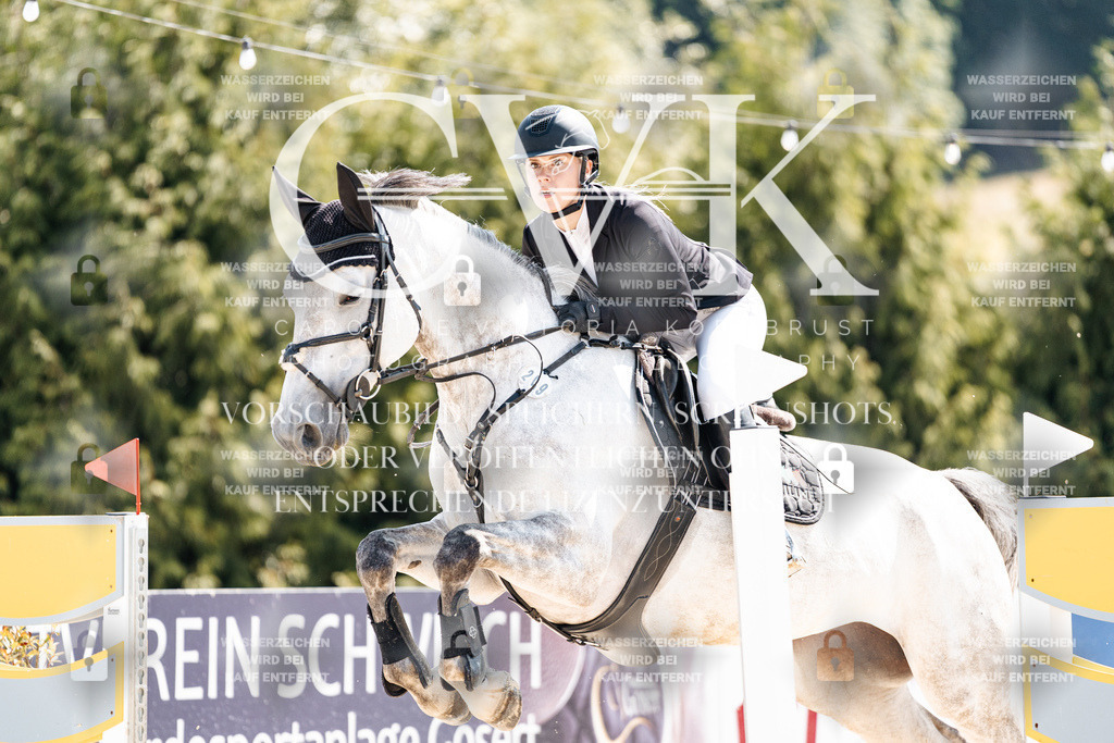 CK909109 | Turnierfotografie Pferdefotografie Trier Rheinland-Pfalz Pferdesport Reitsport Tierfotografie Sportfotografie Pferdevideo Pferdevideografie Equestrianvideography equestrianphotography  - Realisiert mit Pictrs.com