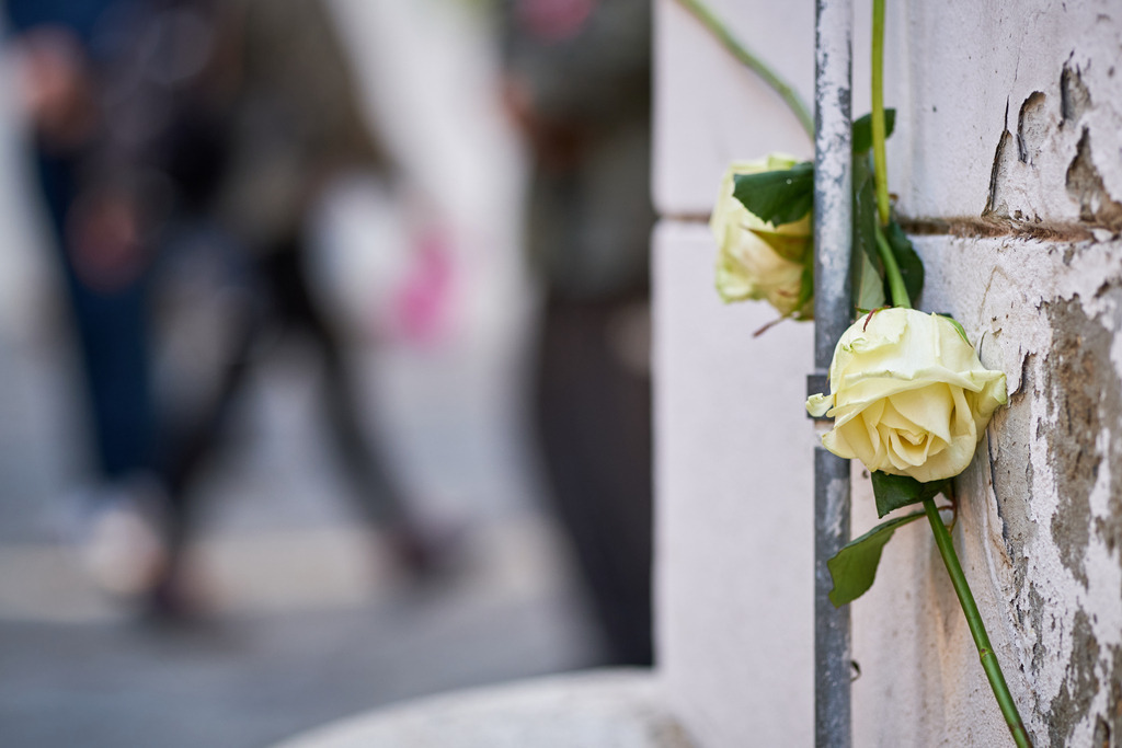 weiße Rose an der Hauswand | Wien, Austria - November 06, 2020: Gedenken an den Terroranschlag vom 02.11.2020, weiße Rose an der Hauswand. - Realisiert mit Pictrs.com