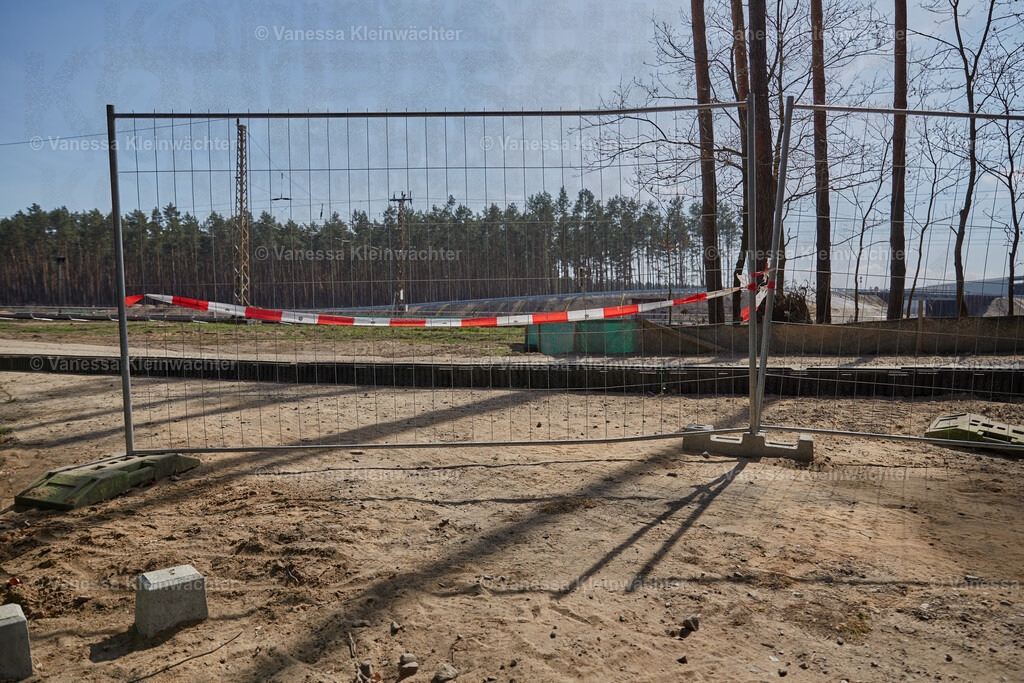 250412_TeslaWaldspaziergang_00040 | Vanessa Kleinwächter - Realisiert mit Pictrs.com