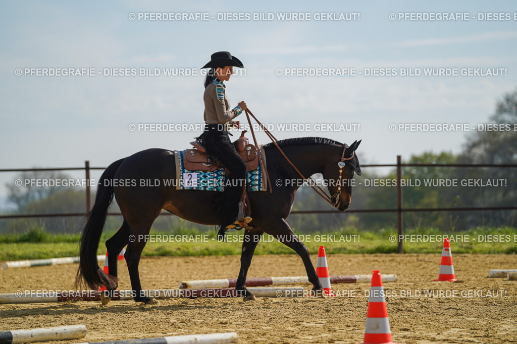 DSC01330 | Pferdegrafie