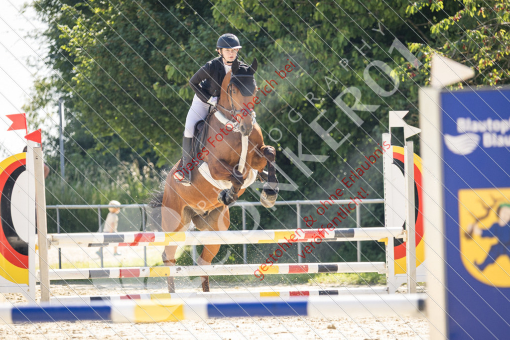 IMG_3228 | Sport-, Event- und Tierfotos in Profiqualität. Einfach auswählen, bestellen und herunterladen. Dein Moment – perfekt festgehalten.