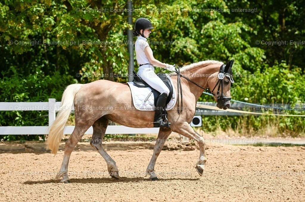 20230715_05_Dressurprüfung Kl.A++_0083 | equistock