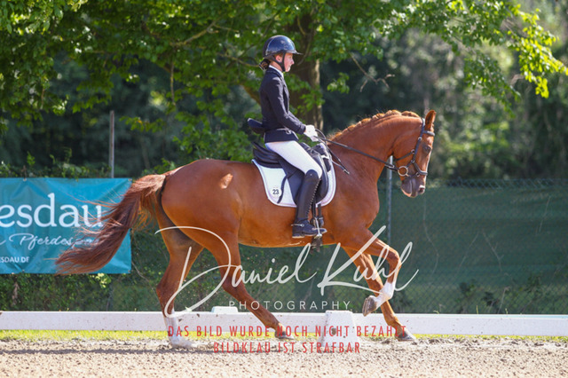 DKP42797 | Turnierfotos kaufen im Webshop von Daniel Kuhl Photography – entdecke professionelle Reitsportfotos aus Turnieren & Events. Hochwertige Turnierbilder online bestellen & sichern. Jetzt Fotos von Reitsportturnieren kaufen!
