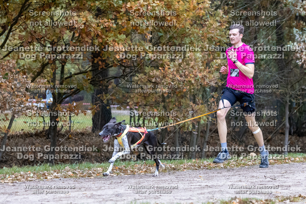 Dog Paparazzi - SD CaniX Championship 2025-121 | Dog Paparazzi Jeanette Grottendiek Fotografie & Videografie - Realisiert mit Pictrs.com