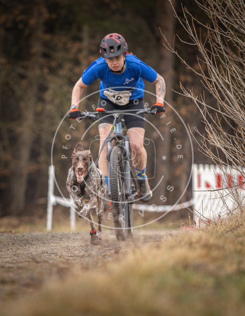 DV3A3238 | Hundefotografie, Tierfotograf, Pfotenfotografie, Fotoshooting Hund, Hunde Portrait, Hundesport, Hundeportraits, Heideshooting, Hunde, Sportfotograf, Hundefotograf, Turnierhundsport, THS,  - Realisiert mit Pictrs.com