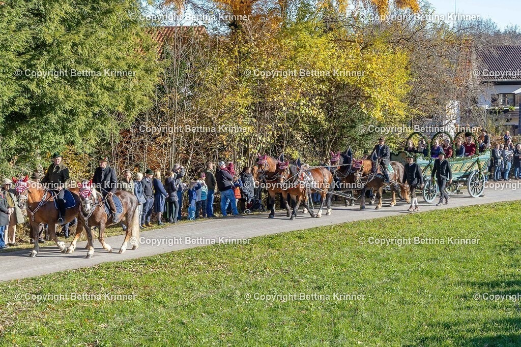 LBT25-114 | foto-bettina-krinner - Realisiert mit Pictrs.com