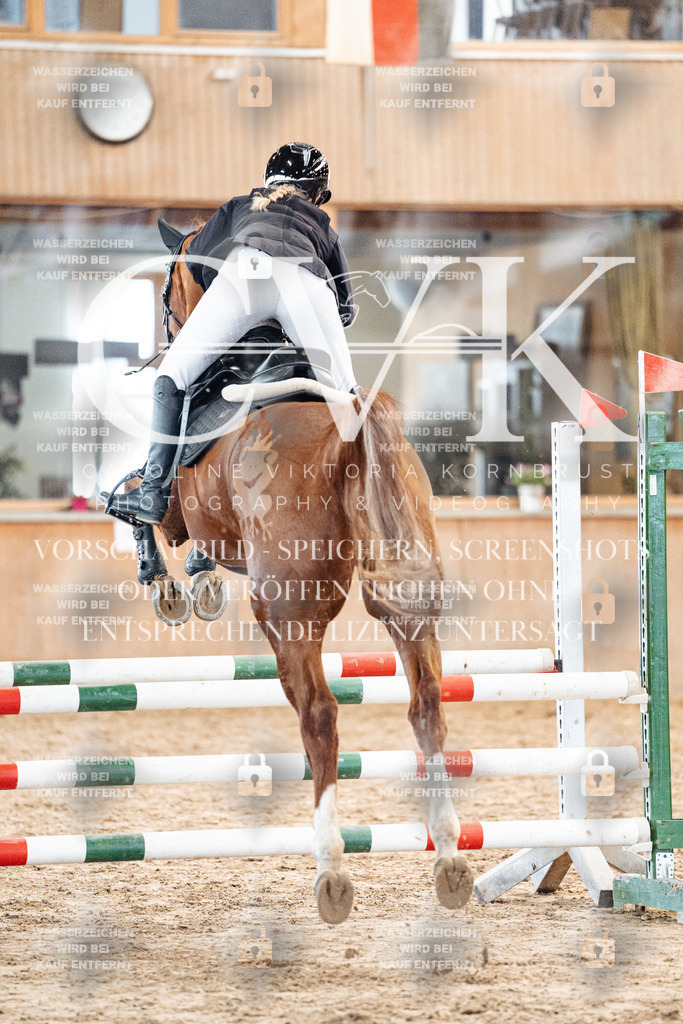 CK904126 | Turnierfotografie Pferdefotografie Trier Rheinland-Pfalz Pferdesport Reitsport Tierfotografie Sportfotografie Pferdevideo Pferdevideografie Equestrianvideography equestrianphotography  - Realisiert mit Pictrs.com