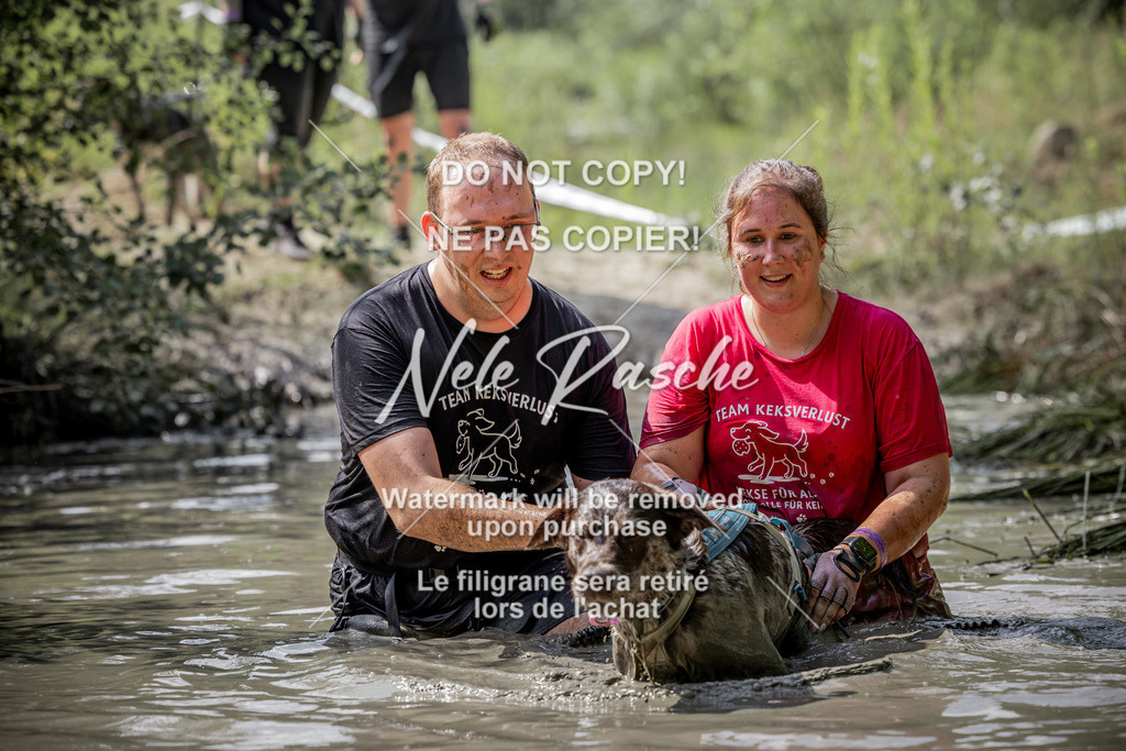nelerasche_so1030-1100_281 | nelerasche