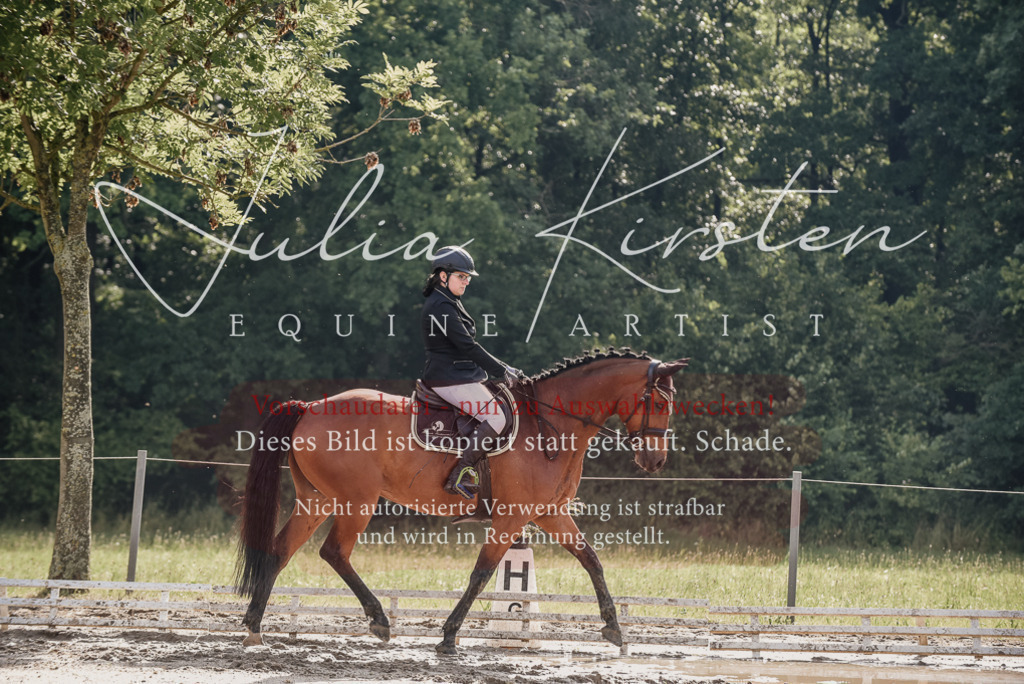 DSC_8511 | Pferde- und Turnierfotografie in Westsachsen. Pferdeportraits, Auftragszeichnungen und intuitive Kunst.