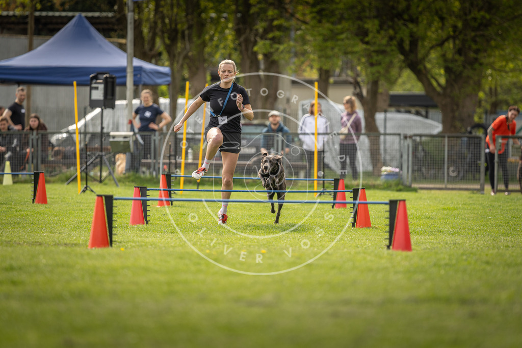 Pfotenfotografie_DV3A6075 | Hundefotografie, Tierfotograf, Pfotenfotografie, Fotoshooting Hund, Hunde Portrait, Hundesport, Hundeportraits, Heideshooting, Hunde, Sportfotograf, Hundefotograf, Turnierhundsport, THS,  - Realisiert mit Pictrs.com