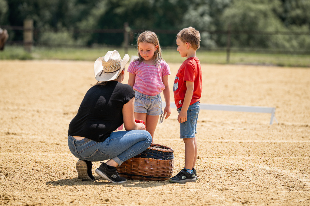 DSC01388 | Pferdegrafie