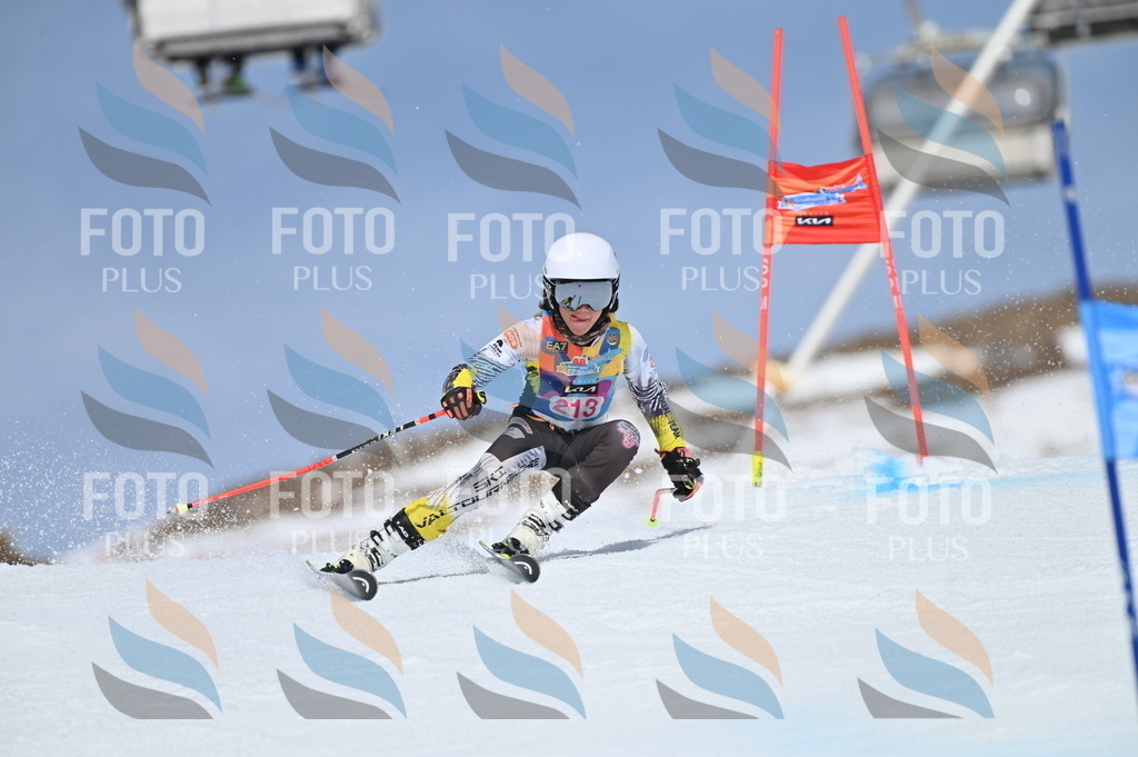 BGV_1179 | holidayphoto