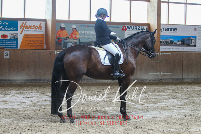 DKP44817 | Turniersportfotografie; Pferdefotografie; Dressurfotografie