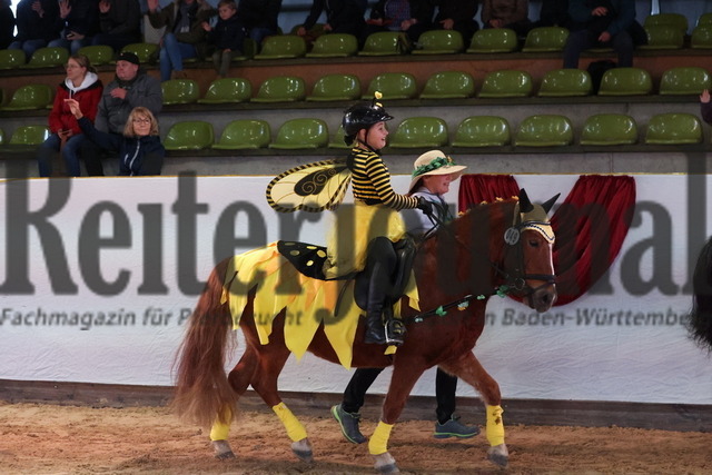 Marbacher_Wochenende_2023_Finale_Kids-Cup_Führzügelklasse_Gruppe_02 (107) | Alle Fotos der Reiterjournal Fotografin Doris Matthaes im Reiterjournal Online-Fotoshop. - Realisiert mit Pictrs.com