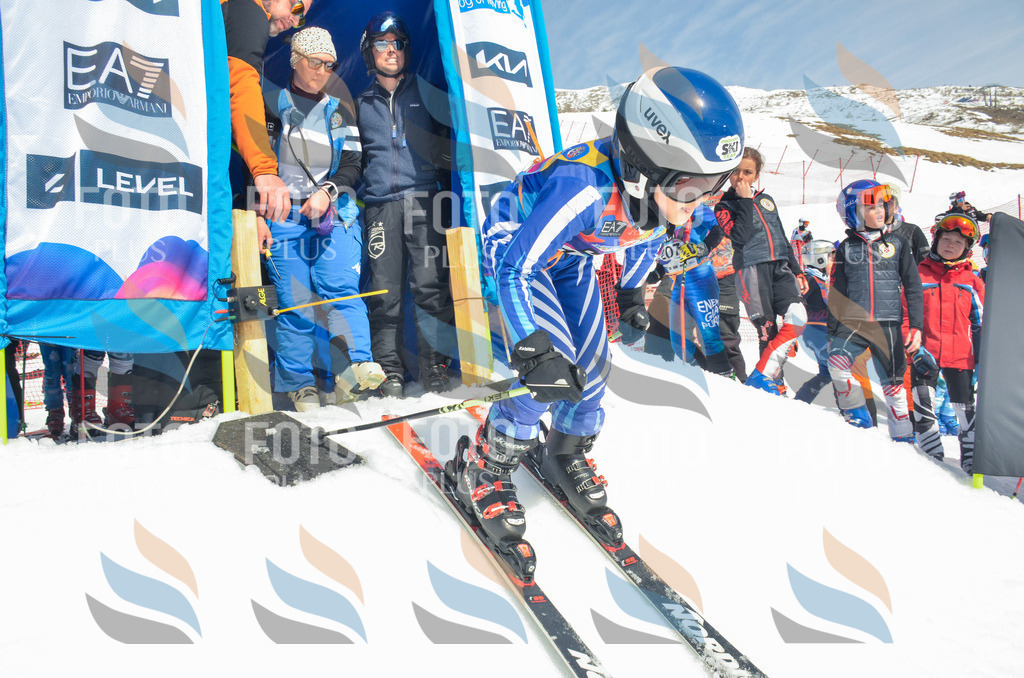 _ELE6499 | holidayphoto