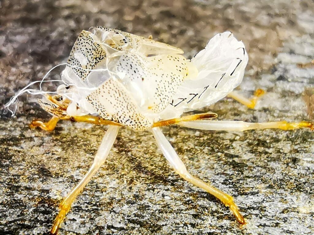 PSX_20220907_223557 | mtkfoto_ - Realisiert mit Pictrs.com