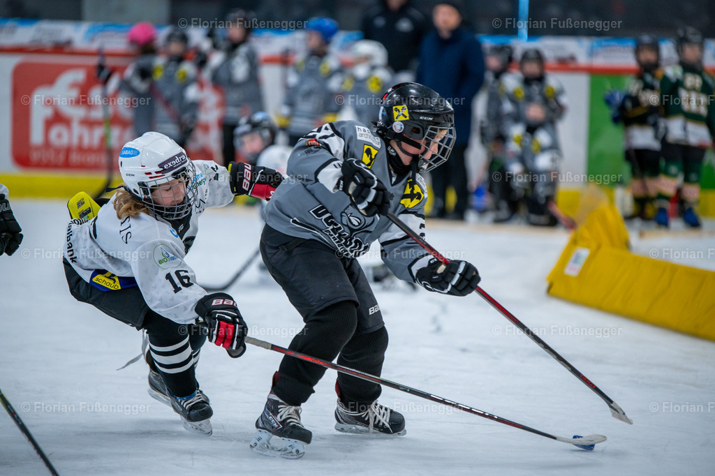 2025-03-01-Bärencup Wil-070 | "Fussifoto.com – Ihr Ansprechpartner für hochwertige Fotografie! Entdecken Sie kreative Bilder und professionelle Dienstleistungen. Kontaktieren Sie uns für Ihre Projekte!"