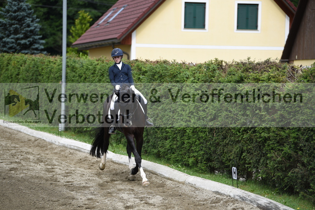 DSC_4490 | equestrian-live-com