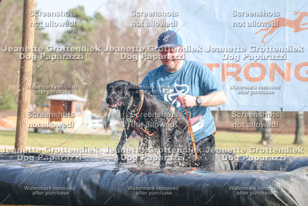 Dog Paparazzi - Strongdog North Mrz26-2228 | Dog Paparazzi Jeanette Grottendiek Fotografie & Videografie - Realisiert mit Pictrs.com