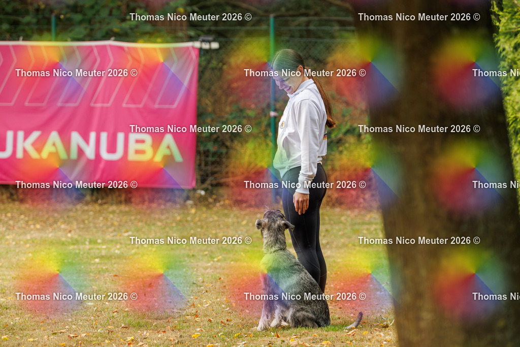 Thomas_Nico_Meuter(C)_22. August 2026_223A0756 | Bild von Thomas Nico Meuter - Realisiert mit Pictrs.com