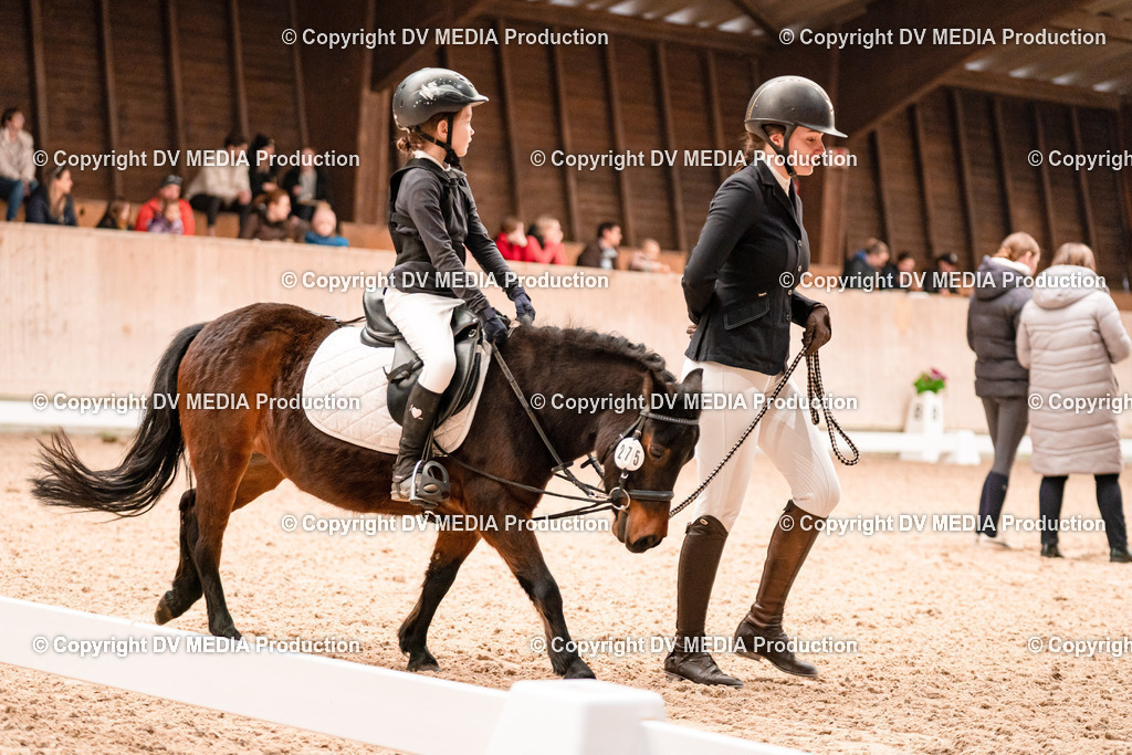 Dressur Tag 3-540 | dv-media-shop - Realisiert mit Pictrs.com