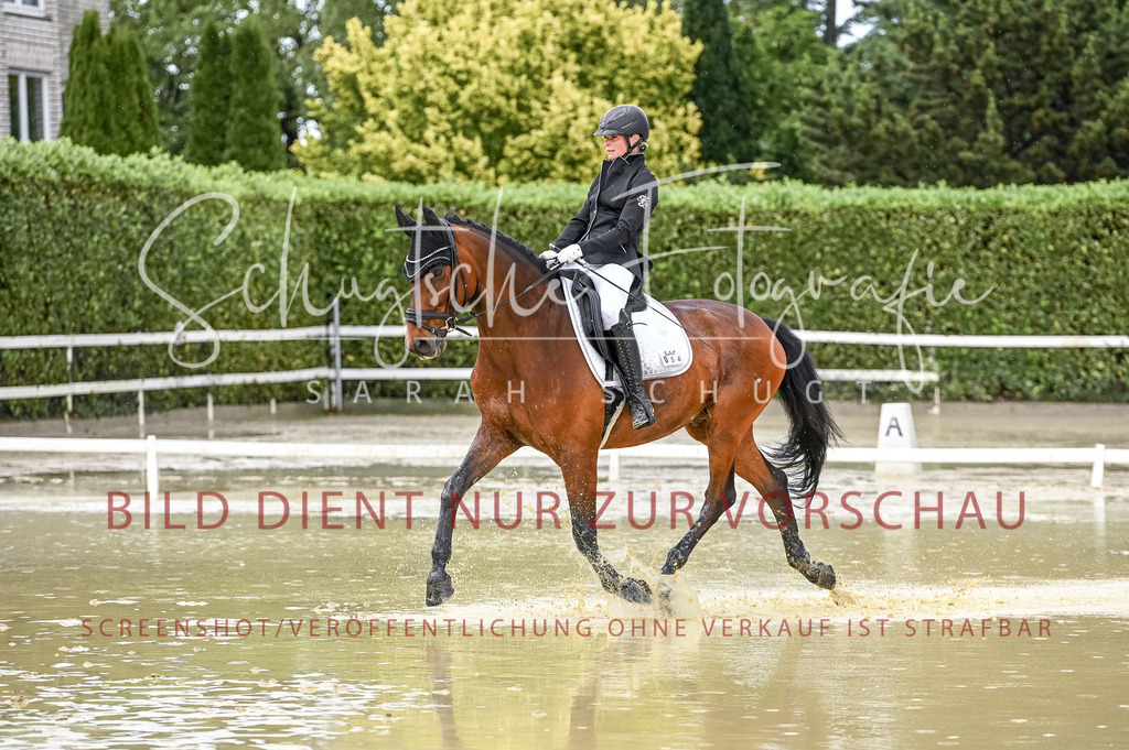Schugtsche-Aluta25-54.Dressurprf.L1Trense-141 | Schugtsche Fotografie - Realisiert mit Pictrs.com