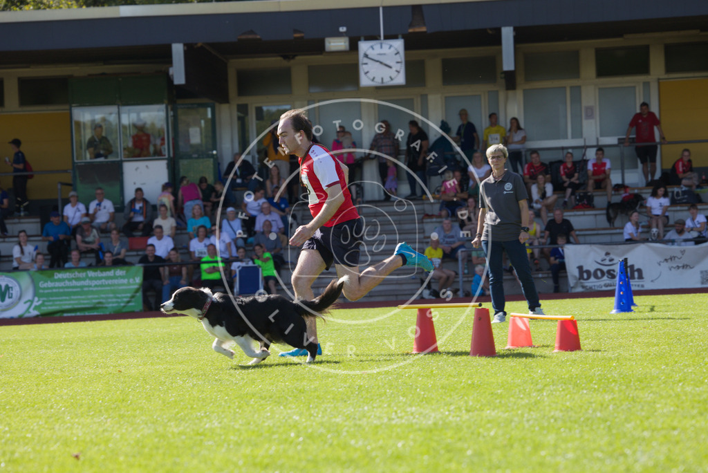 0L8A8399 | Hundefotografie, Tierfotograf, Pfotenfotografie, Fotoshooting Hund, Hunde Portrait, Hundesport, Hundeportraits, Heideshooting, Hunde, Sportfotograf, Hundefotograf, Turnierhundsport, THS,  - Realisiert mit Pictrs.com