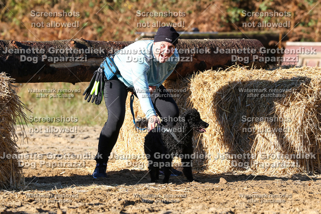 Dog Paparazzi - Strongdog 10-25-1475 | Dog Paparazzi Jeanette Grottendiek Fotografie & Videografie - Realisiert mit Pictrs.com