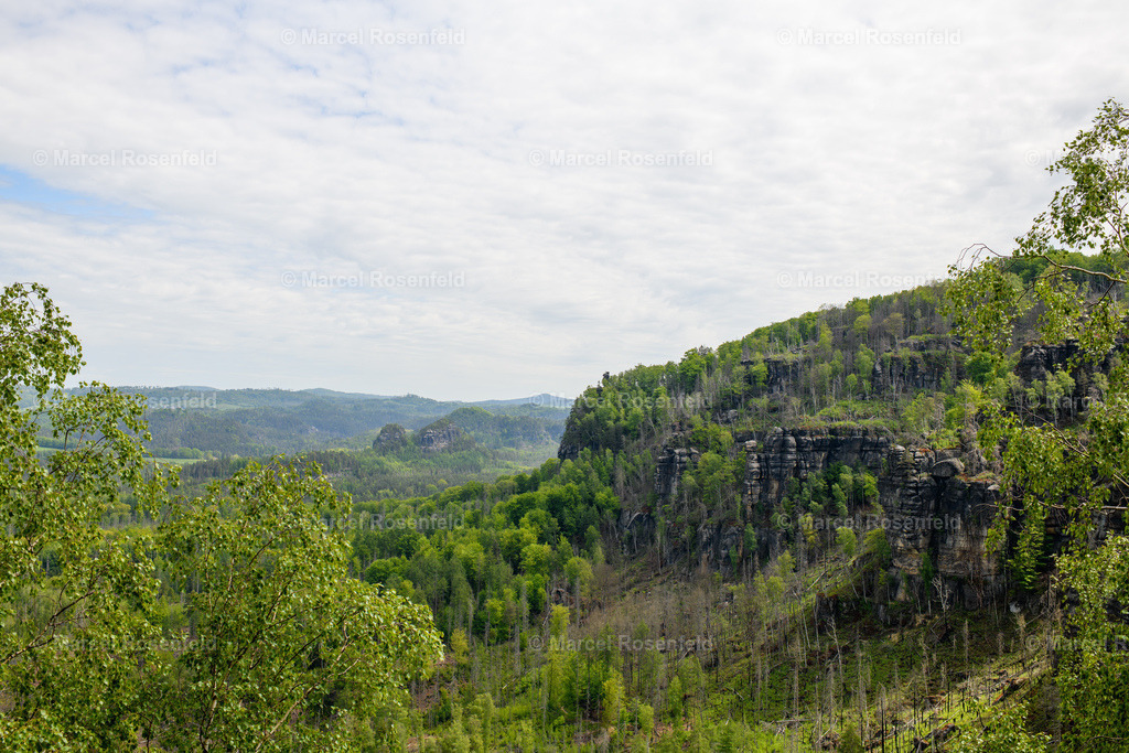 _DSC4986 (1) | foto-rosenfeld