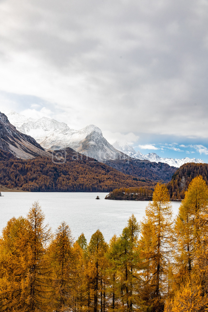 JB3A5698 | antonija-trupina - Realisiert mit Pictrs.com