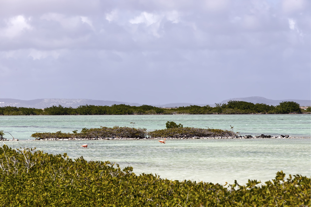 1H5A0144 | ansichtssache