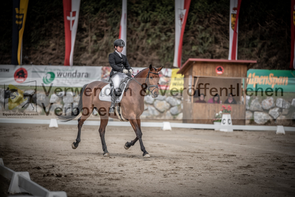 DSC_2400 | equestrian-live-com
