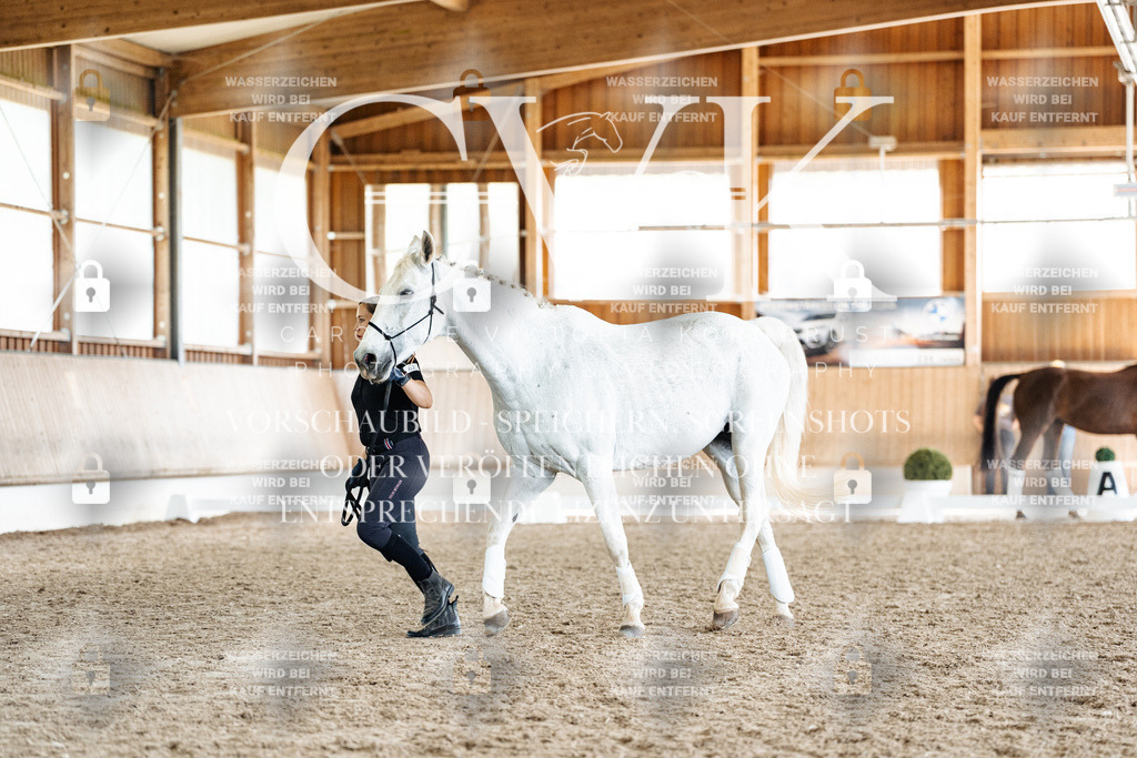 CK908165 | Turnierfotografie Pferdefotografie Trier Rheinland-Pfalz Pferdesport Reitsport Tierfotografie Sportfotografie Pferdevideo Pferdevideografie Equestrianvideography equestrianphotography  - Realisiert mit Pictrs.com