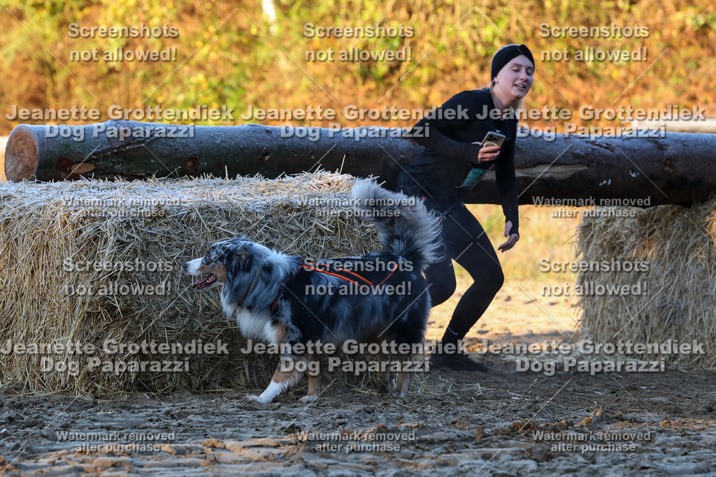 Dog Paparazzi - Strongdog 10-25-536 | Dog Paparazzi Jeanette Grottendiek Fotografie & Videografie - Realisiert mit Pictrs.com