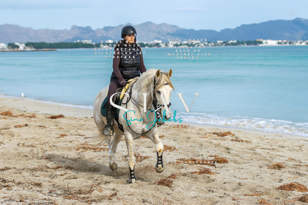 IMG_2537 | s-jay-photography - Realisiert mit Pictrs.com